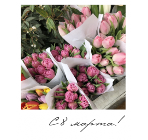 Открытка "Полароид" 11*9 см, дизайн 142