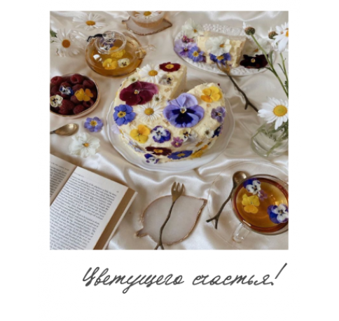 Открытка "Полароид" 11*9 см, дизайн 120