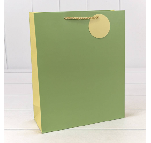 Пакет подарочный матовый Бледно-зелёный 26*32*10 см 210г