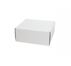 Коробка 250*250*100 мм, белая ламинированная , ДП66