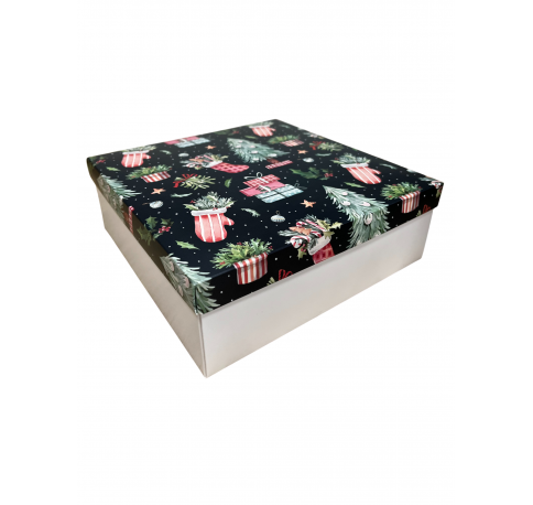 Коробка подарочная 200*200*30 мм, дизайн МО2025-11 с крафт/белым дном