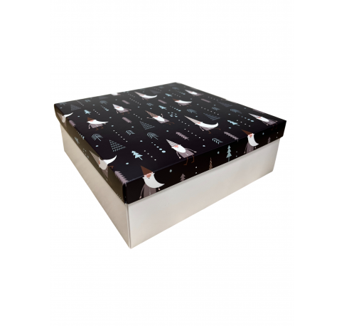 Коробка подарочная 200*200*30 мм, дизайн МО2025-1 с крафт/белым дном