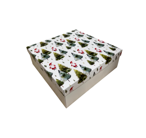 Коробка подарочная 200*200*30 мм, дизайн МО2025-2 с крафт/белым дном